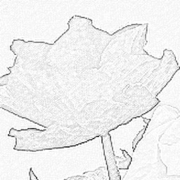 Pencil Sketch 009